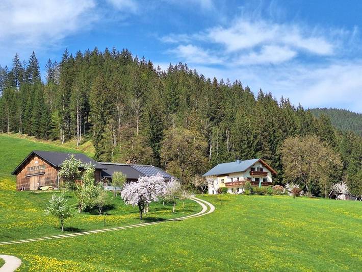Ferienwohnung für 5 Personen, mit Ausblick und Garten