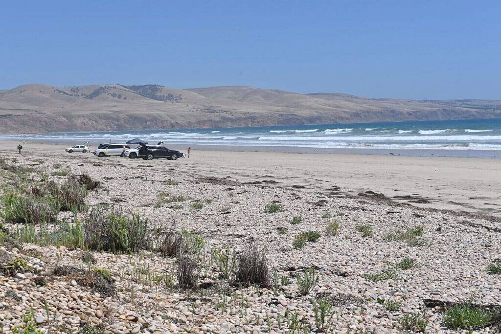 Magpies Nest - Private Guest House - Nature in Aldinga Beach, City of Onkaparinga
