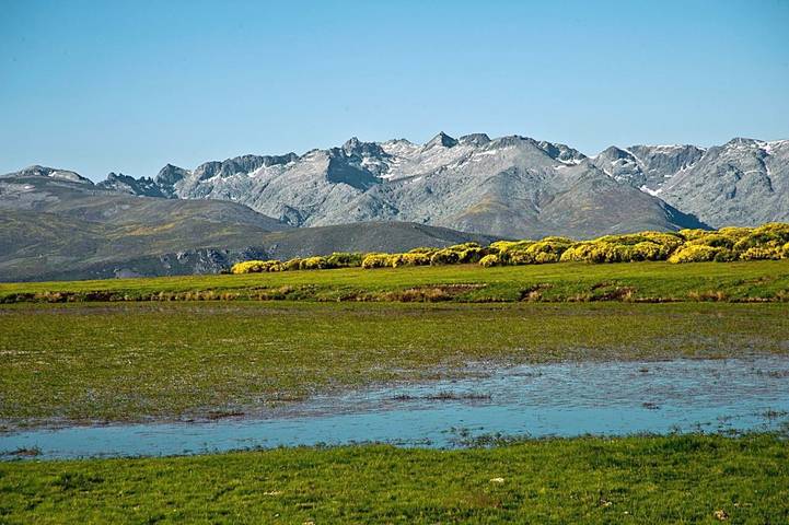 Casa Rural La Vereilla in Navarredonda de Gredos, Provincia de Ávila