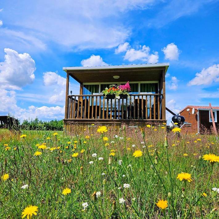 Ferienhaus für 4 Personen, mit Garten und Ausblick in Friedland - 2