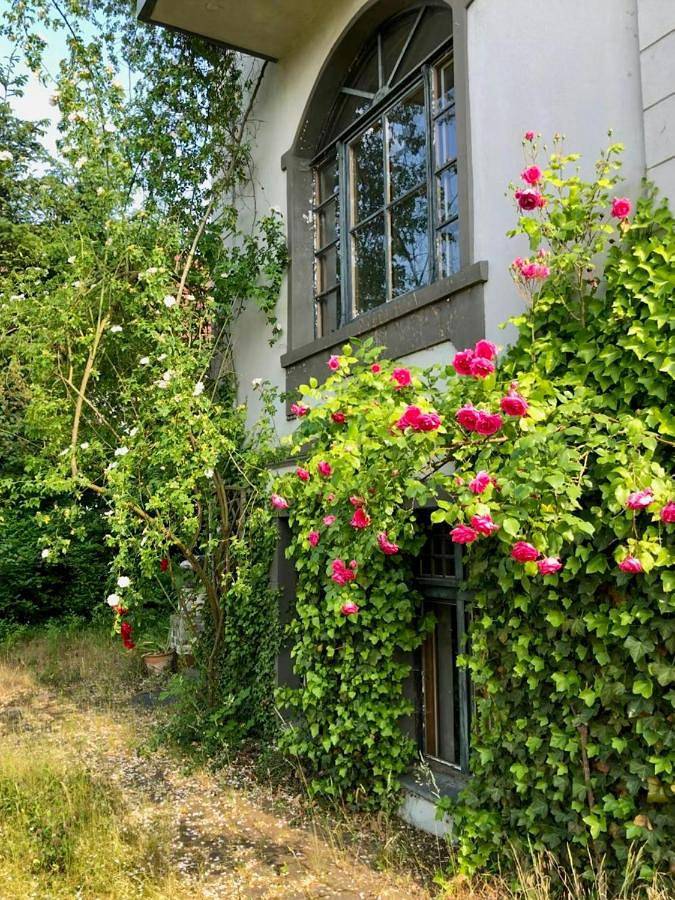 Ferienhaus für 4 Personen, mit Terrasse und Garten, mit Haustier in Stadt Buckow (Märkische Schweiz) - 4