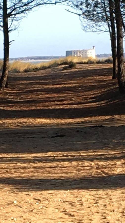 Gîte pour 2 personnes, avec jardin dans Boyardville - 4