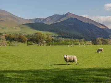 Log Cabin for 2 People in Bassenthwaite, Cumbria, Photo 1