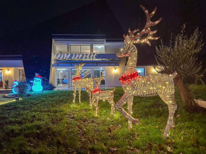 Location de vacances pour 14 personnes, avec piscine et jardin dans Nogent-le-Phaye