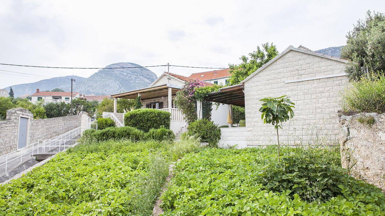 Ganze Ferienwohnung, Ferienwohnung für 3 Personen (35 m²) in Bol in Bol, Brac