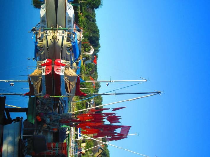 Ferienwohnung für 2 Personen, mit Terrasse und Seeblick, kinderfreundlich in Loddin - 4