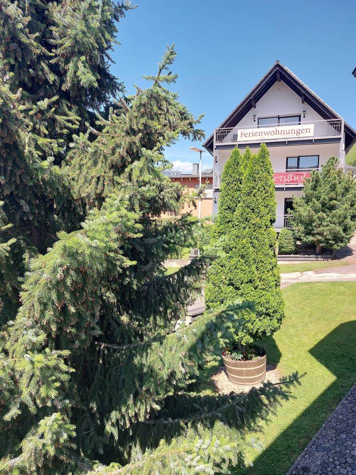 Ferienwohnung für 2 Personen, mit Balkon, kinderfreundlich in Neumagen-Dhron - 4