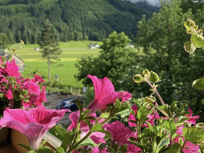 Ferienwohnung für 3 Personen, mit Balkon und Garten sowie Sauna in Dachstein Salzkammergut - 3