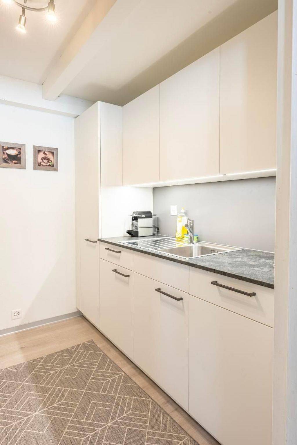 Ganze Wohnung, Loft Apartment "James" Höhematte in Interlaken, Thunersee