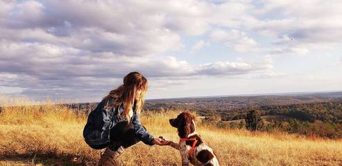 Camping for 6 Guests in Ouachita National Forest, Arkansas, Picture 4