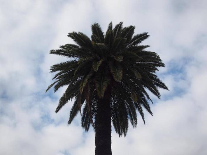 Location de vacances pour 2 personnes, avec jardin et vue à Opio - 4