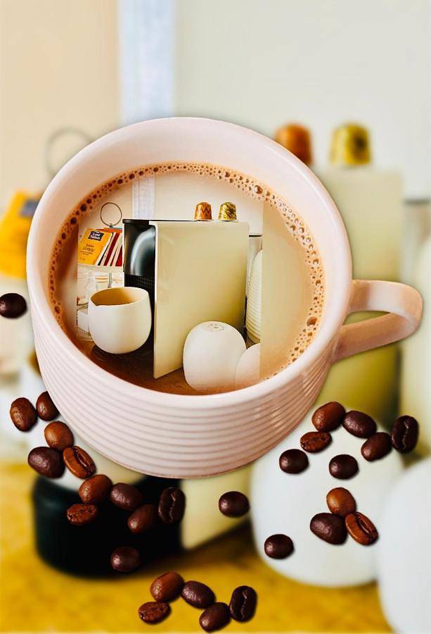 Maison d’hôte pour 5 personnes, avec terrasse, animaux acceptés à Maastricht - 2