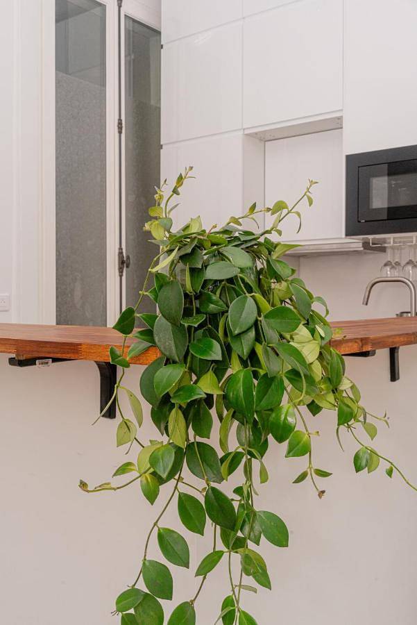 Gîte pour 6 personnes dans Théâtre Mogador - 2