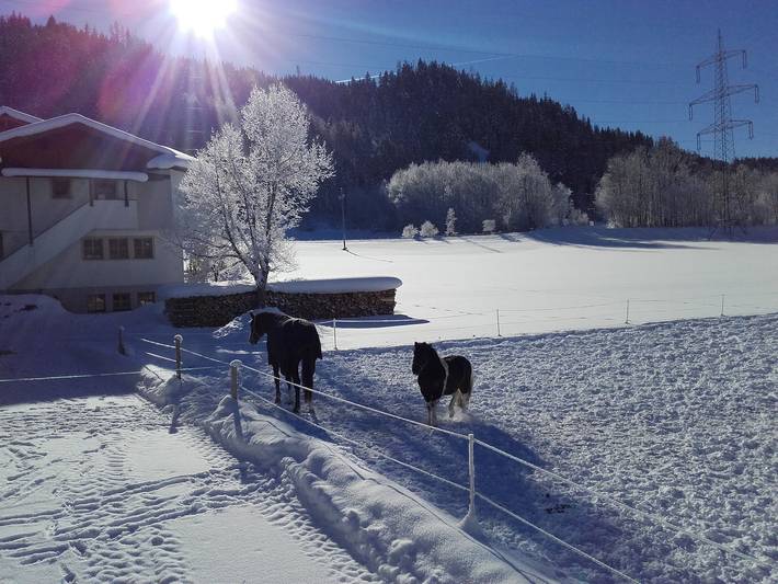 Ferienhaus für 6 Personen, mit Ausblick und Garten im Salzburger Land - 4