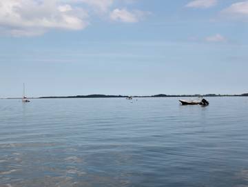 Ferienhaus für 7 Personen in Steinberg, Ostsee Schleswig-Holstein, Bild 3