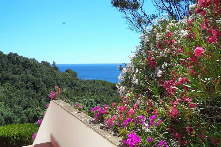 Holiday apartment for 6 people, with terrace, with pets - 1