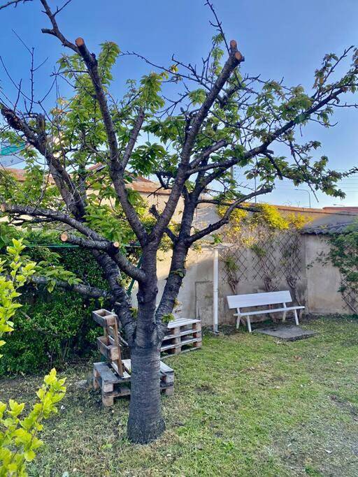 Villa pour 14 personnes, avec jardin et terrasse, animaux acceptés à Toulouse - 4