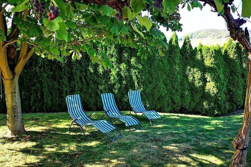Geheel appartement, Appartement met 2 slaapkamers, bijgebouw, Riesling - Schier, Appart-Pension in Zell Stadt (Mosel), Zell (Cochem-Zell)