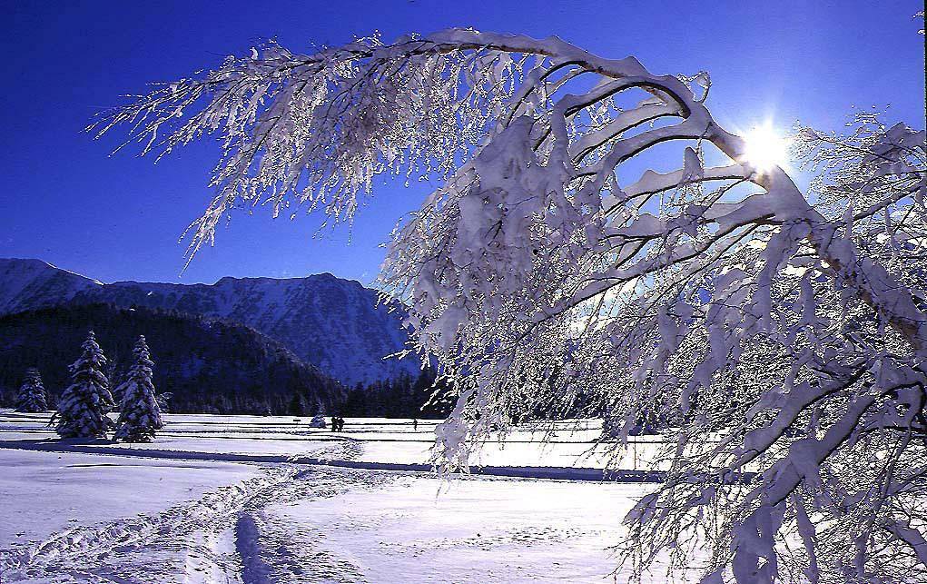 Ganze Wohnung, Résidence les Marmottes - 3-Zimmer-Holzhütte für 6 Personen (35) in Chamrousse, Nationalpark Écrins