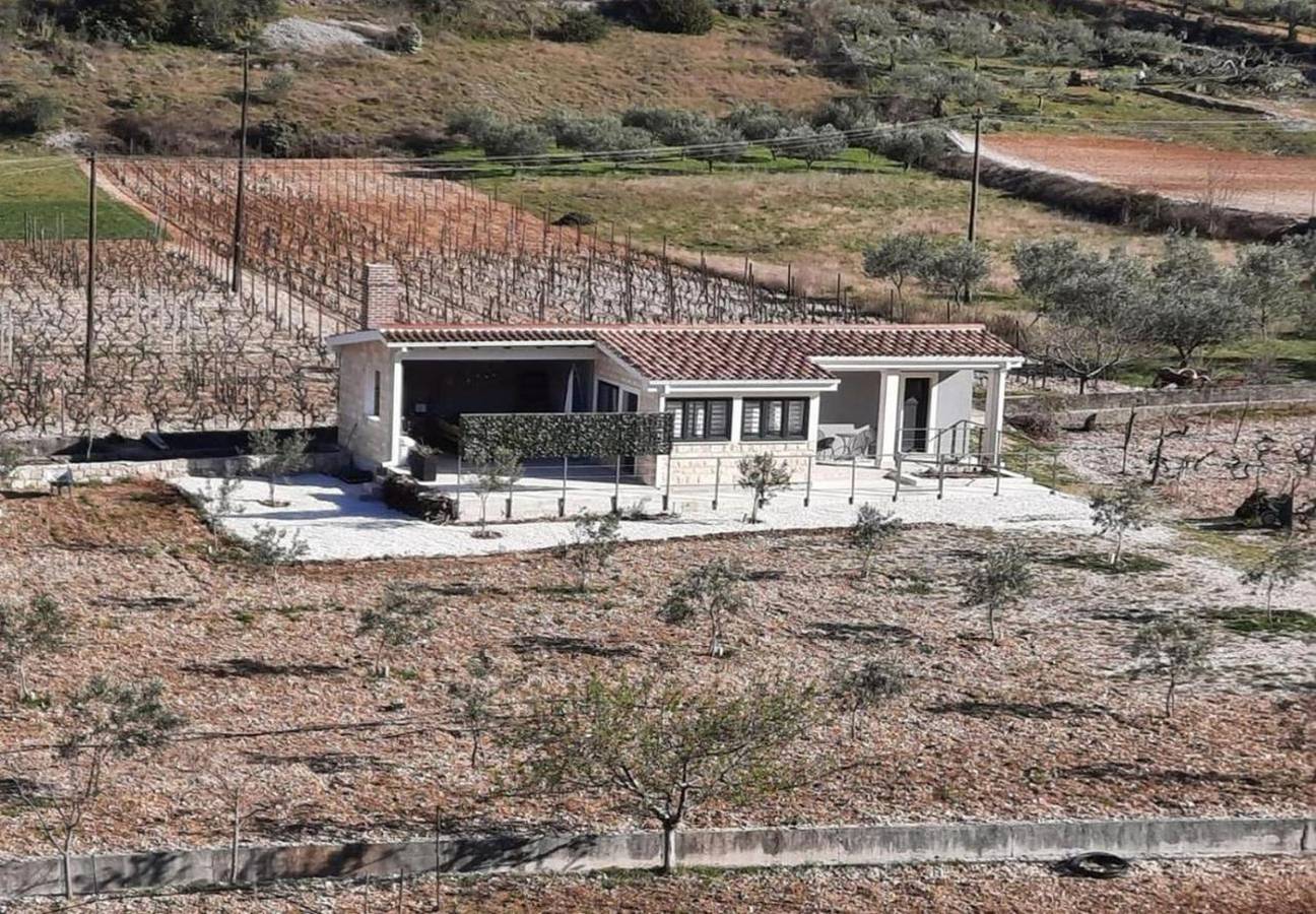 House Toni in Dol (Postira), Postira