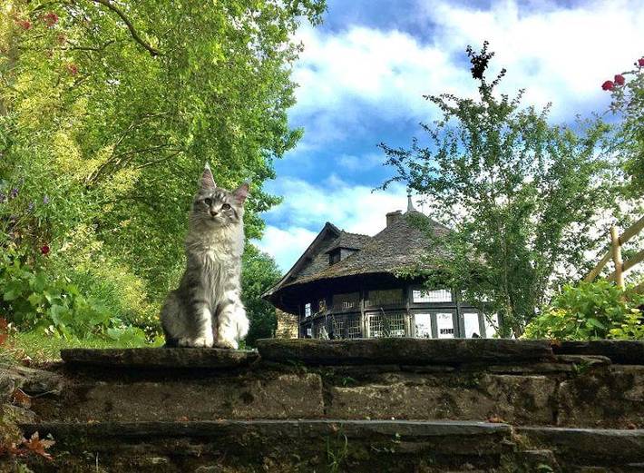 Chambre d’hôte pour 2 personnes, avec Jardin et Vue à Rochefort-en-Terre