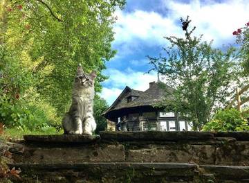 Chambre d’hôte pour 2 personnes, avec vue et jardin à Rochefort-en-Terre