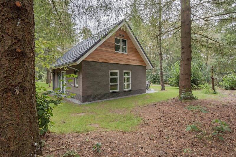 Rcn het Grote Bos — Holiday home Heidestein in Doorn, Utrecht region
