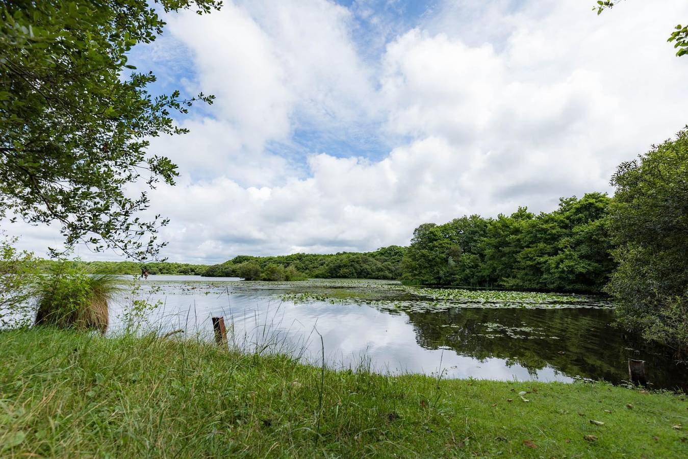 La Maison de mon grand-père, appt la landaise du lac in León (Francia), Côte d’Argent