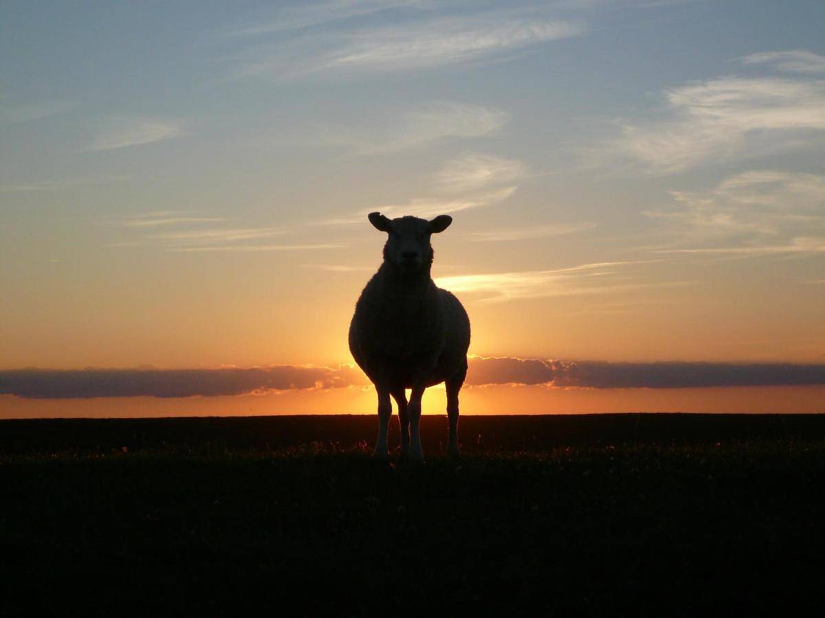 Seminar- und Erlebnishof Das schwarze Schaf in Deutschlandsberg, Steirerland