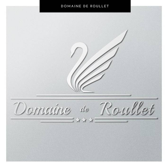 Hôtel pour 4 personnes, avec jardin à Roullet-Saint-Estèphe - 3