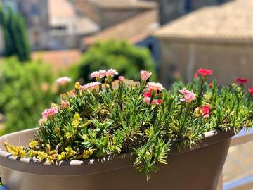 Gîte pour 4 Personnes dans Ferrals-les-Corbières, Région de Narbonne, Photo 2