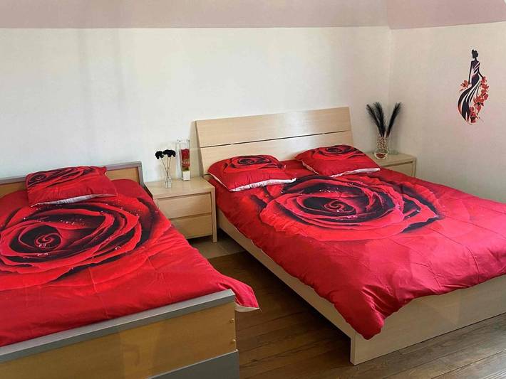 Location de vacances pour 14 personnes, avec jardin à Fief - 3