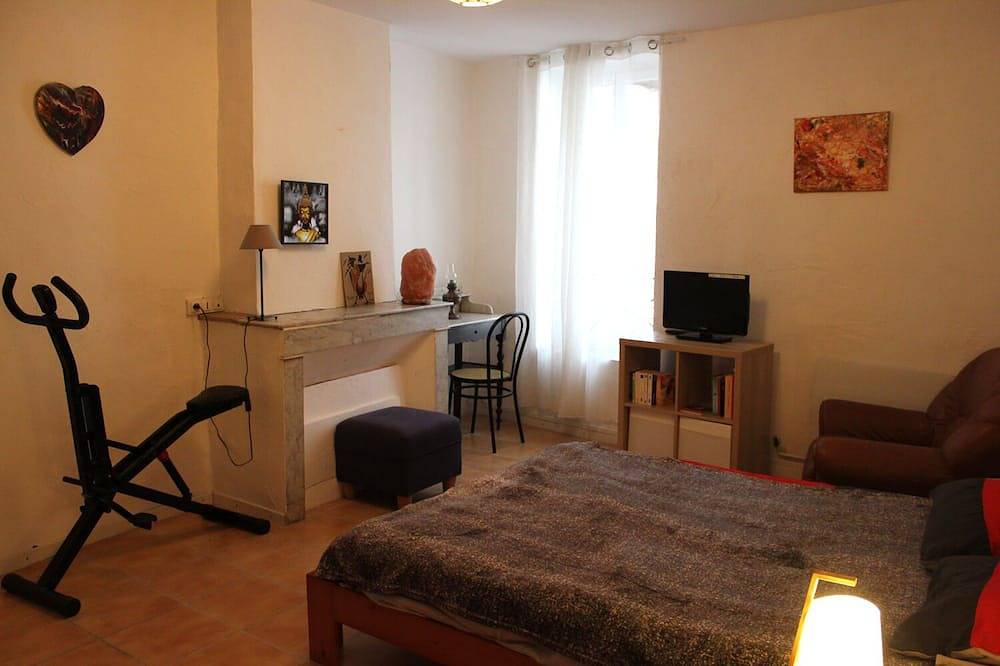 Appartement entier, Grand appartement  à 800 m de la cascade de la vis in Saint-Laurent-le-Minier, Région du Vigan