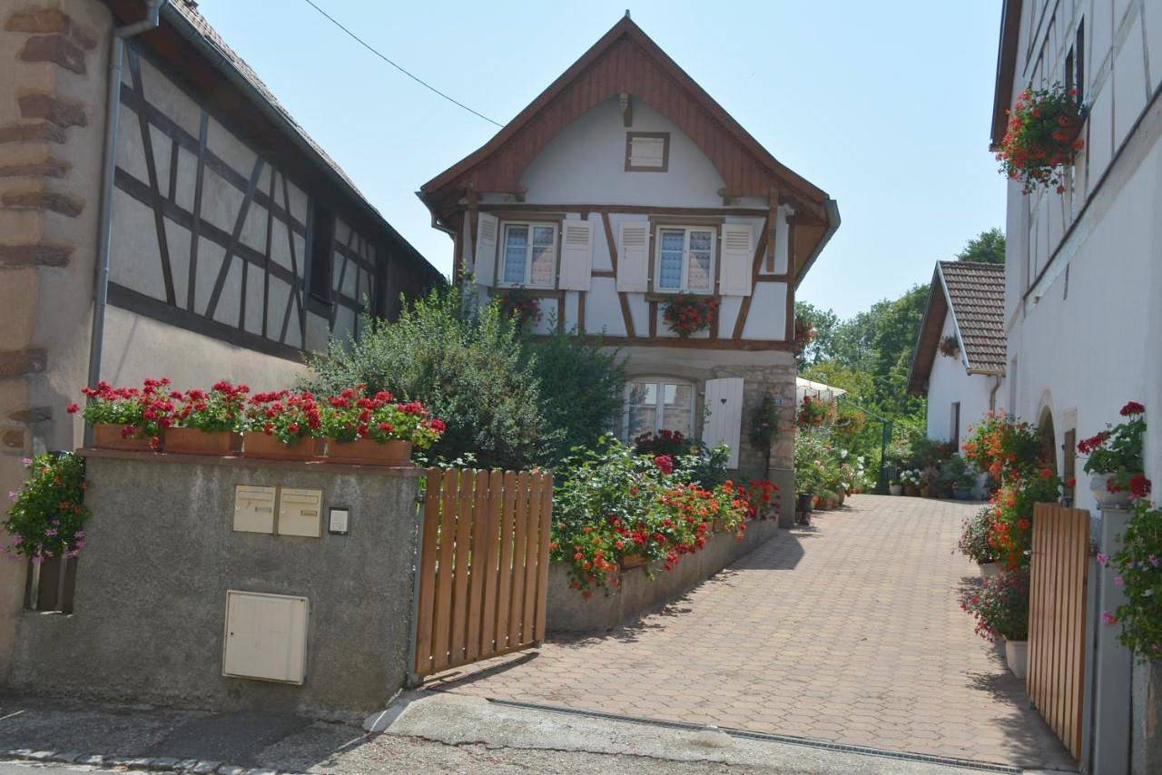 Two-Bedroom House in Ottrott, Bas-Rhin Alsace