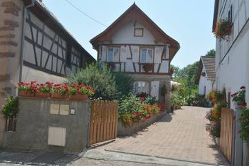 Gîte pour 5 personnes, avec jardin et vue à Ottrott