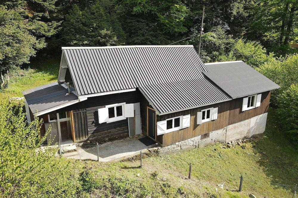 Chalet Ensemble - Montagne et Tranquilité - Au pied du Parc National des Pyrénées in Gabas, Laruns