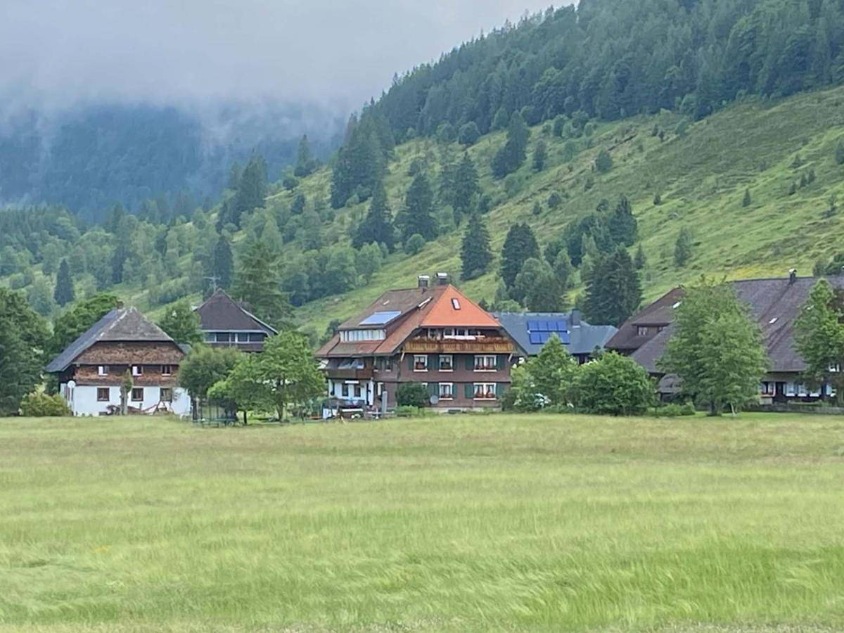 Gästehaus Kaiser in Menzenschwand Hinterdorf (St. Blasien), St. Blasien