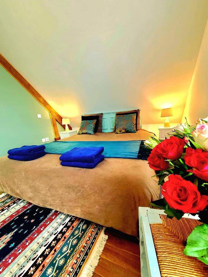 Gîte pour 6 personnes, avec vue et jardin, animaux acceptés dans Bellebrune