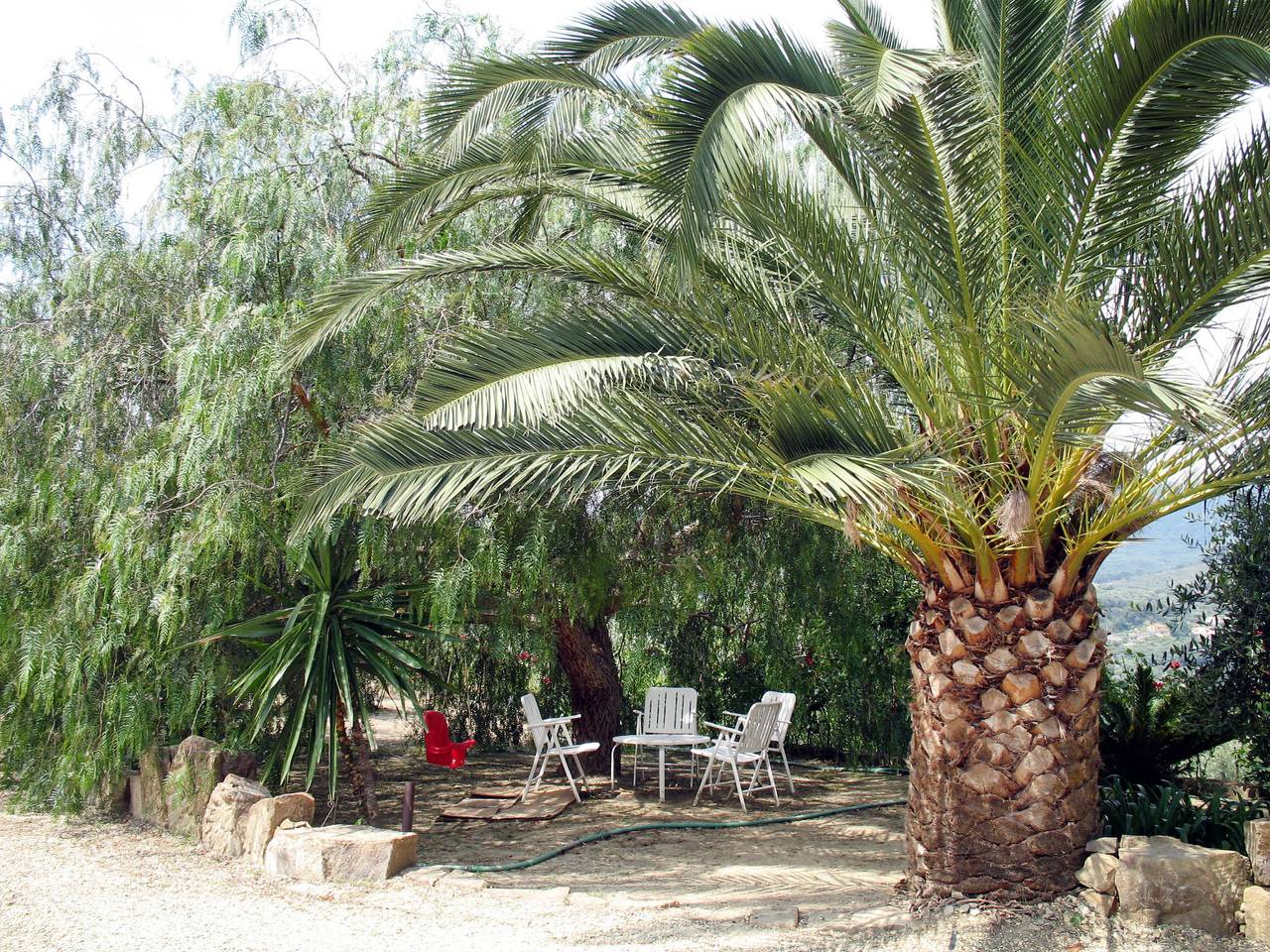 Appartement entier, Ivano (Pgi125) in Poggi, Imperia