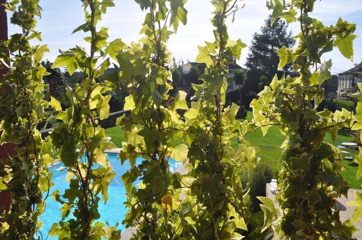 Gîte pour 3 personnes, avec terrasse et piscine ainsi que vue et jardin, animaux acceptés dans Oliveira de Azeméis - 3