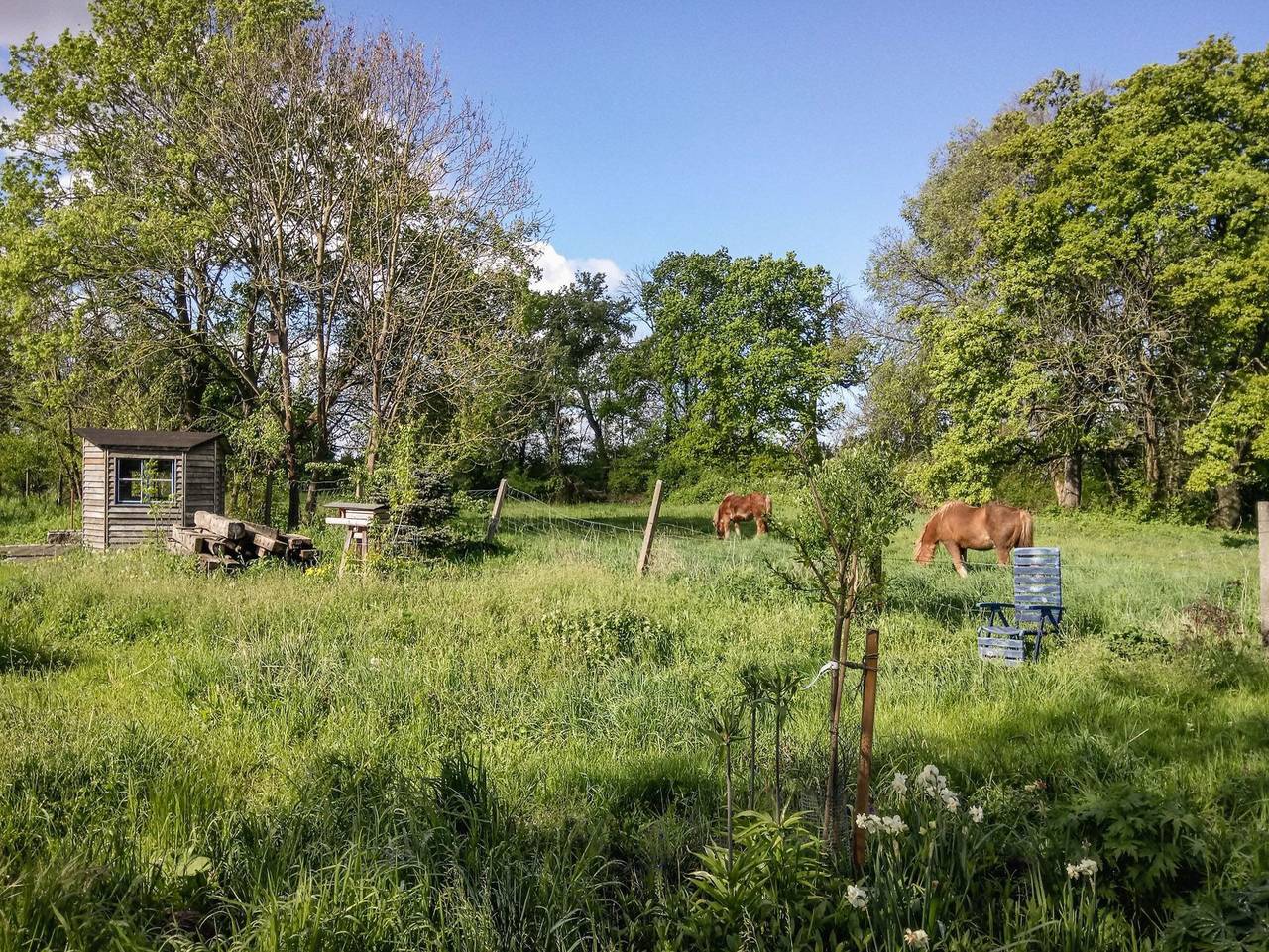 Ganze Ferienwohnung, Ferienhaus Steutz in Zerbst/Anhalt, Elbe-Börde-Heide