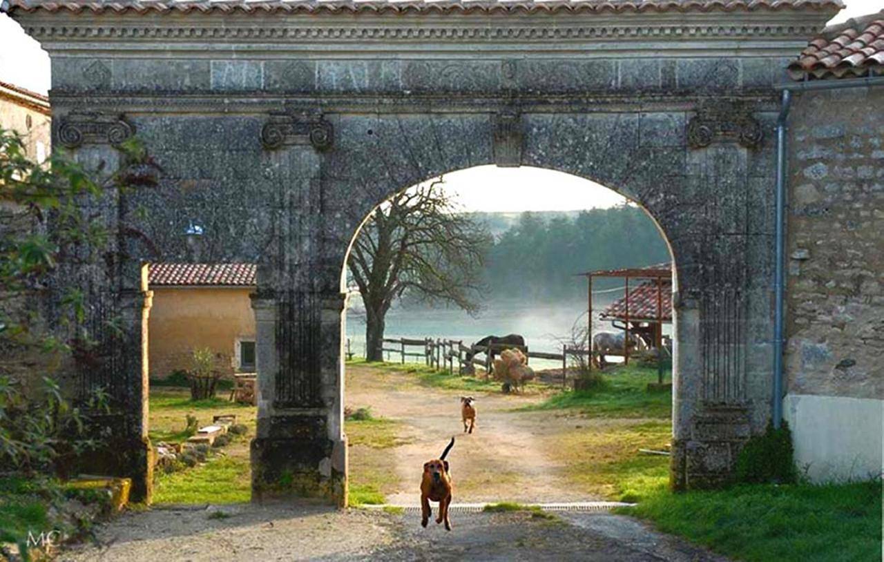 Domaine De Chantemerle B'nb in Marsac, Charente