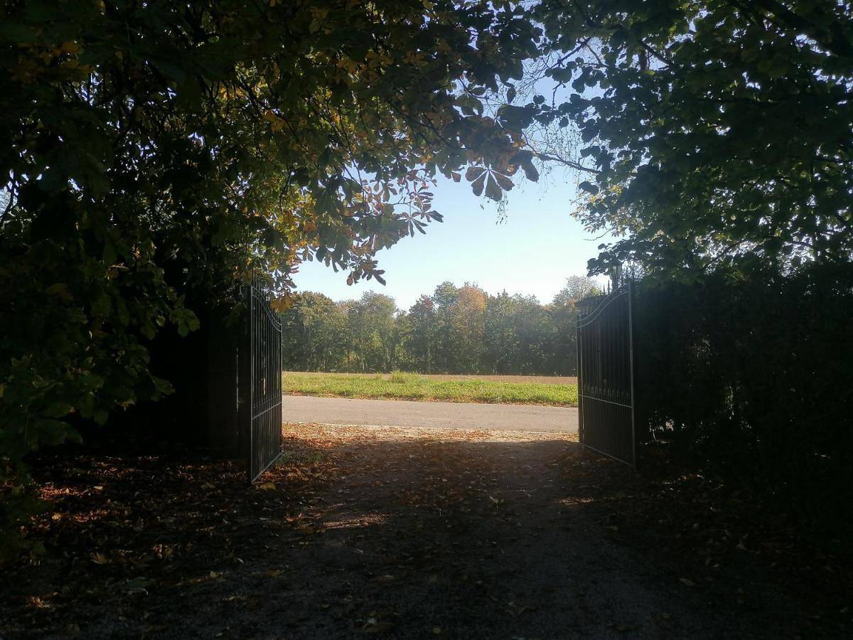 Au regard des biches in Ciney, Région de Namur