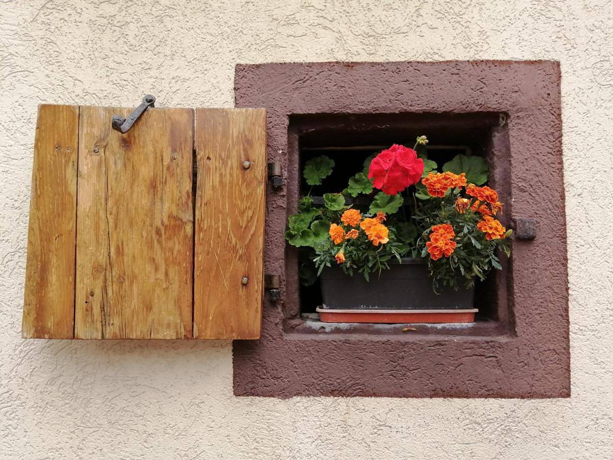 Appartement entier, Gîte Le Patio in Kaysersberg, Parc naturel régional des Ballons des Vosges