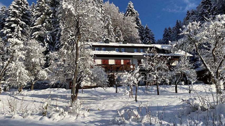 Ferienwohnung für 2 Personen, mit Terrasse und Garten sowie Pool, kinderfreundlich in Scheffau am Wilden Kaiser