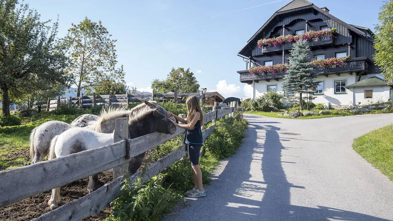 Ganze Ferienwohnung, Ferienwohnung für 2 Personen (40 m²) in Ramsau am Dachstein in Ramsau am Dachstein, Schladming-Dachstein