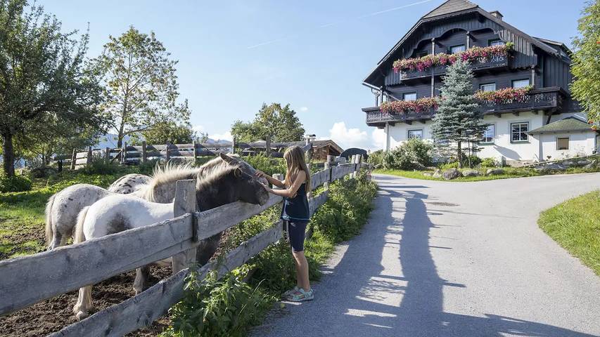 Bauernhof für 4 Personen, mit Sauna und Garten, mit Haustier in Ramsau am Dachstein - 2