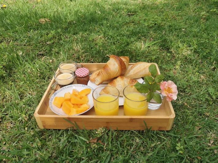 Chambre d’hôte pour 2 personnes, avec jardin et piscine à Arles - 2