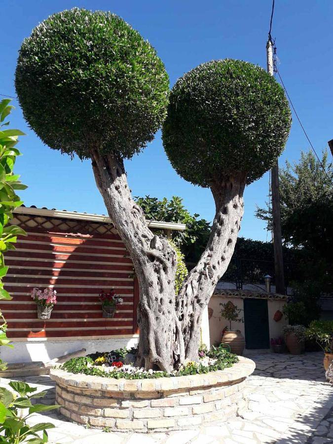 Maison d’hôte pour 3 personnes, avec Balcon et Jardin