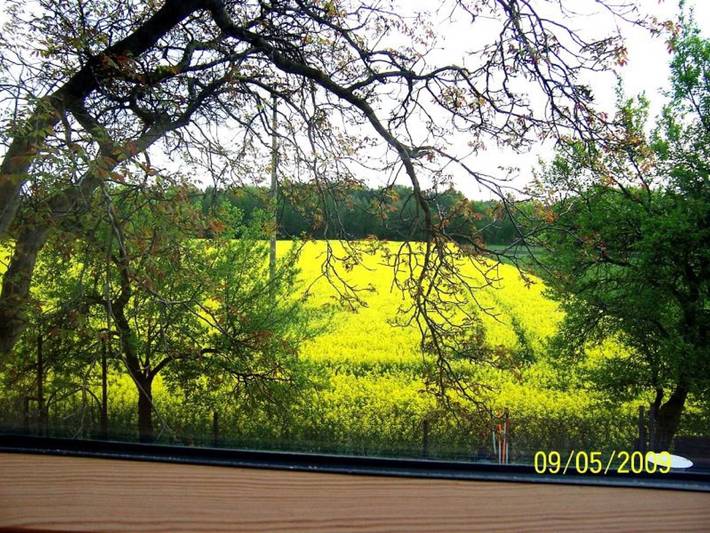 Hütte für 5 Personen, mit Terrasse in Brandenburg - 4
